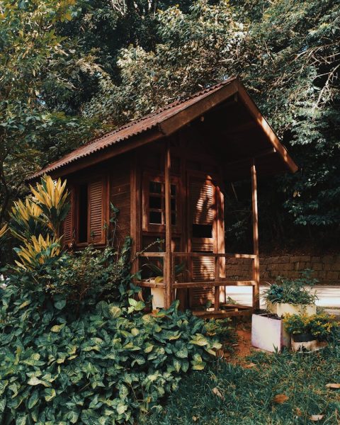 Brown Wooden House Near Plants and Trees