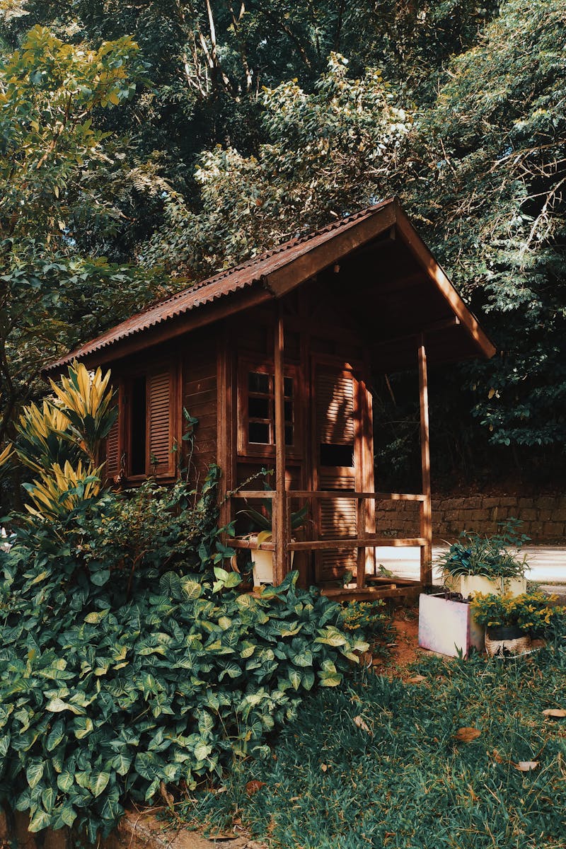 Brown Wooden House Near Plants and Trees