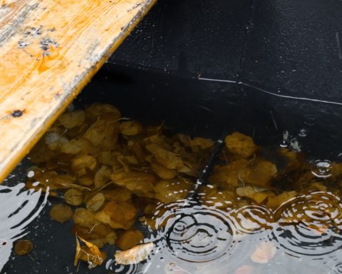 shallow focus photo of body of water