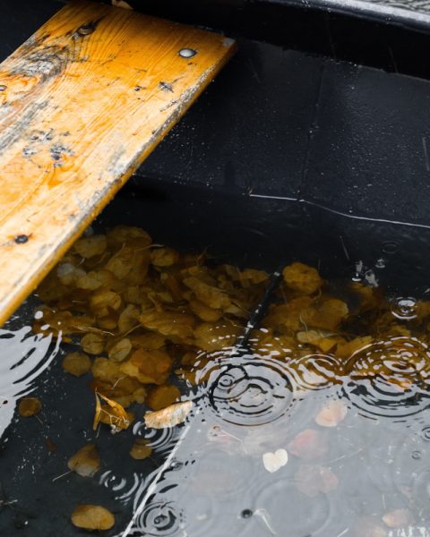 shallow focus photo of body of water