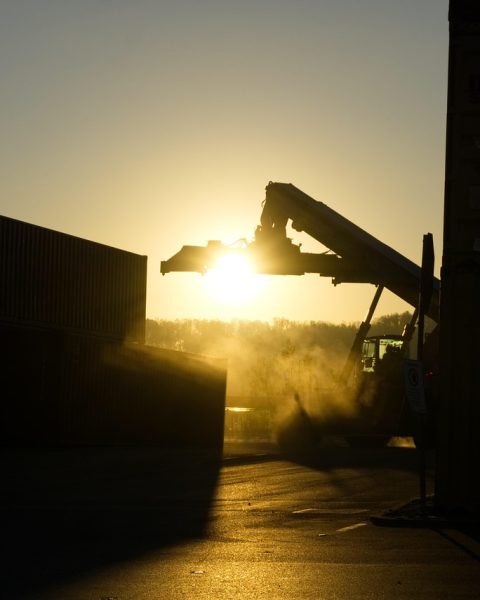 container, loading crane, fog, dark, grim, sunrise, backlighting, port, loading, nature, crane, mobile, transport, export, terminal, cargo, cargo container, container handling, heaven, freight, stacked, silhouette