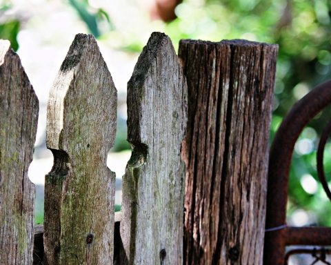 Houten schuttingpalen in een tuin klaar om te worden geplaatst