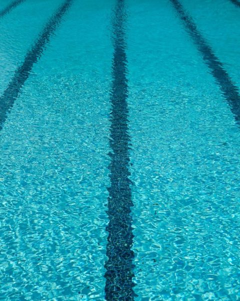 swimming pool close-up photography