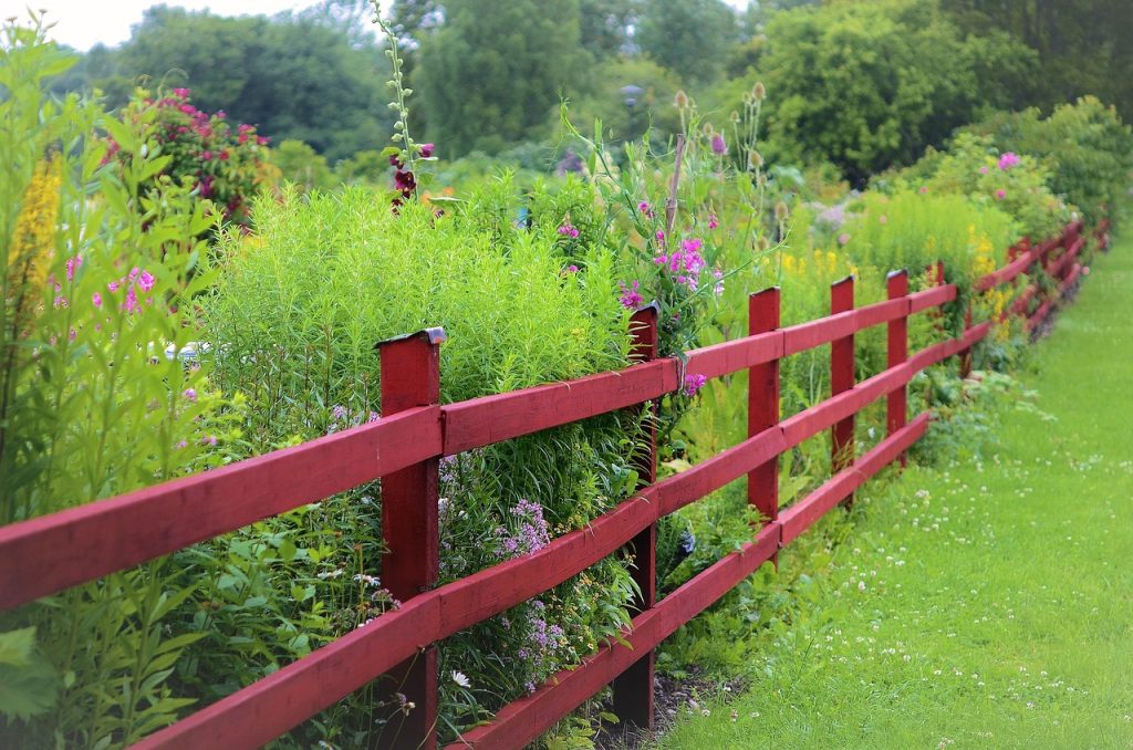 Houten schutting van douglas planken in een achtertuin