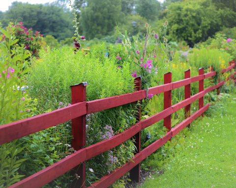 Houten schutting van douglas planken in een achtertuin