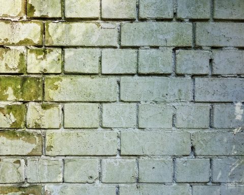 Schimmelplekken in de hoek van een badkamermuur bij een raam