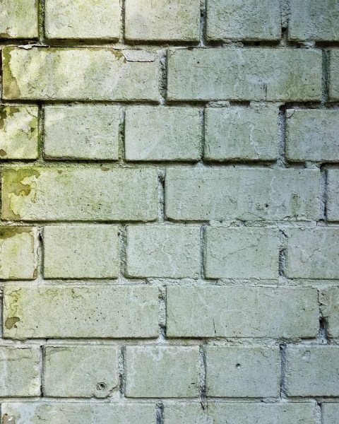 Schimmelplekken in de hoek van een badkamermuur bij een raam