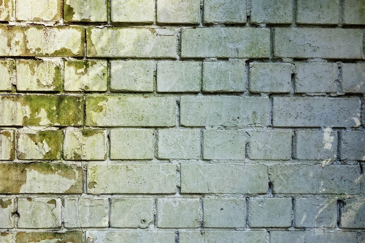 Schimmelplekken in de hoek van een badkamermuur bij een raam